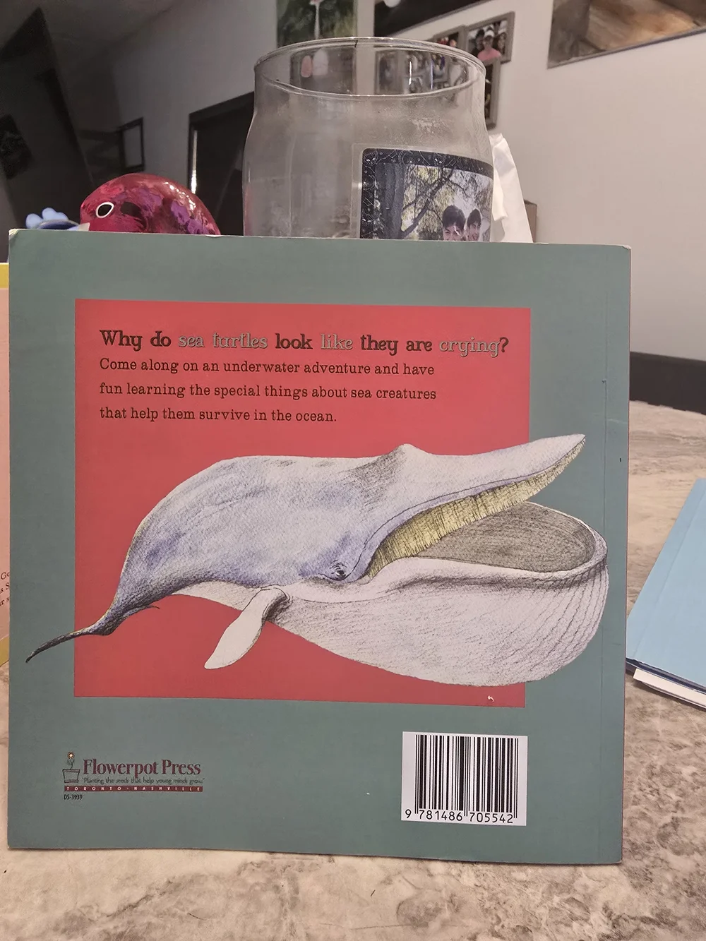 Why Do Sea Turtles Look Like They Are Crying? - Children's Book - Red Cover - Picture 2 of 2